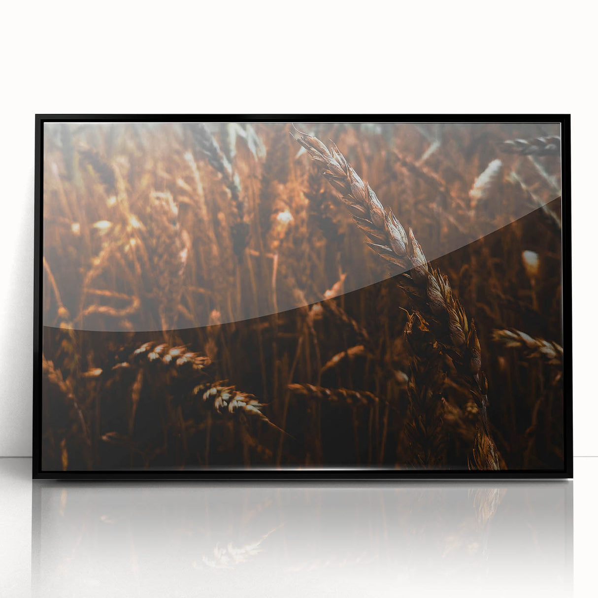 Moody Wheat Field Rustic Wall Art - Farmhouse Country Decor