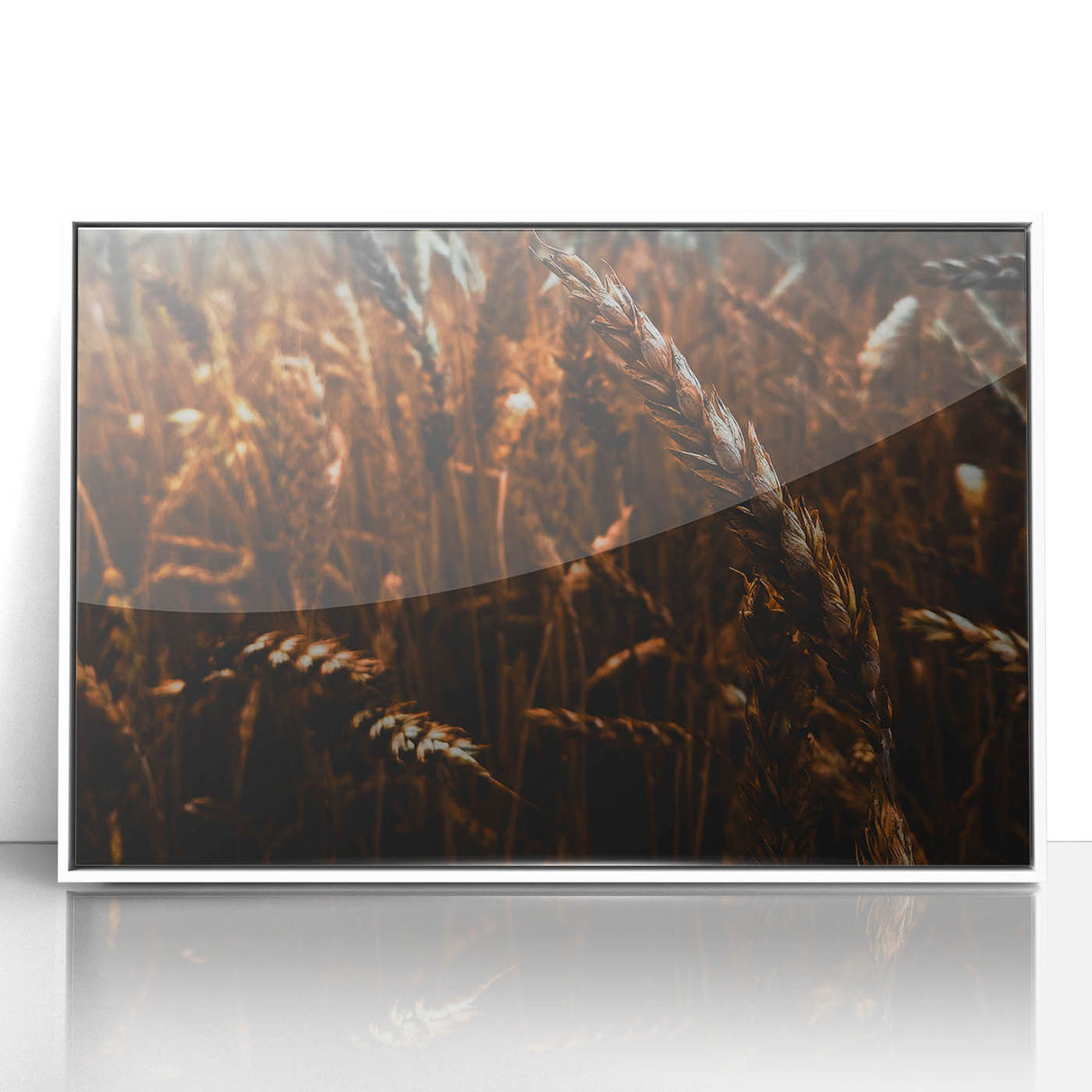 Moody Wheat Field Rustic Wall Art - Farmhouse Country Decor