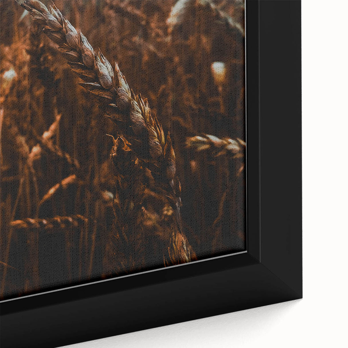 Moody Wheat Field Rustic Wall Art - Farmhouse Country Decor