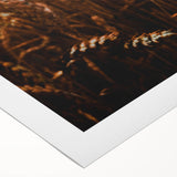 Moody Wheat Field Rustic Wall Art - Farmhouse Country Decor