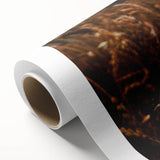 Moody Wheat Field Rustic Wall Art - Farmhouse Country Decor