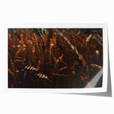 Moody Wheat Field Rustic Wall Art - Farmhouse Country Decor