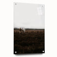 Serene White Horse - Rustic Landscape Wall Art