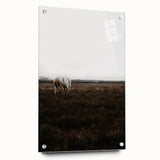 Serene White Horse - Rustic Landscape Wall Art