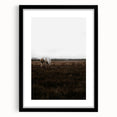 Serene White Horse - Rustic Landscape Wall Art