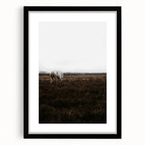 Serene White Horse - Rustic Landscape Wall Art