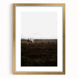 Serene White Horse - Rustic Landscape Wall Art