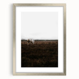Serene White Horse - Rustic Landscape Wall Art