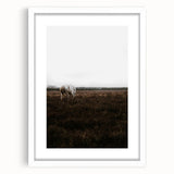 Serene White Horse - Rustic Landscape Wall Art