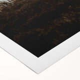 Serene White Horse - Rustic Landscape Wall Art