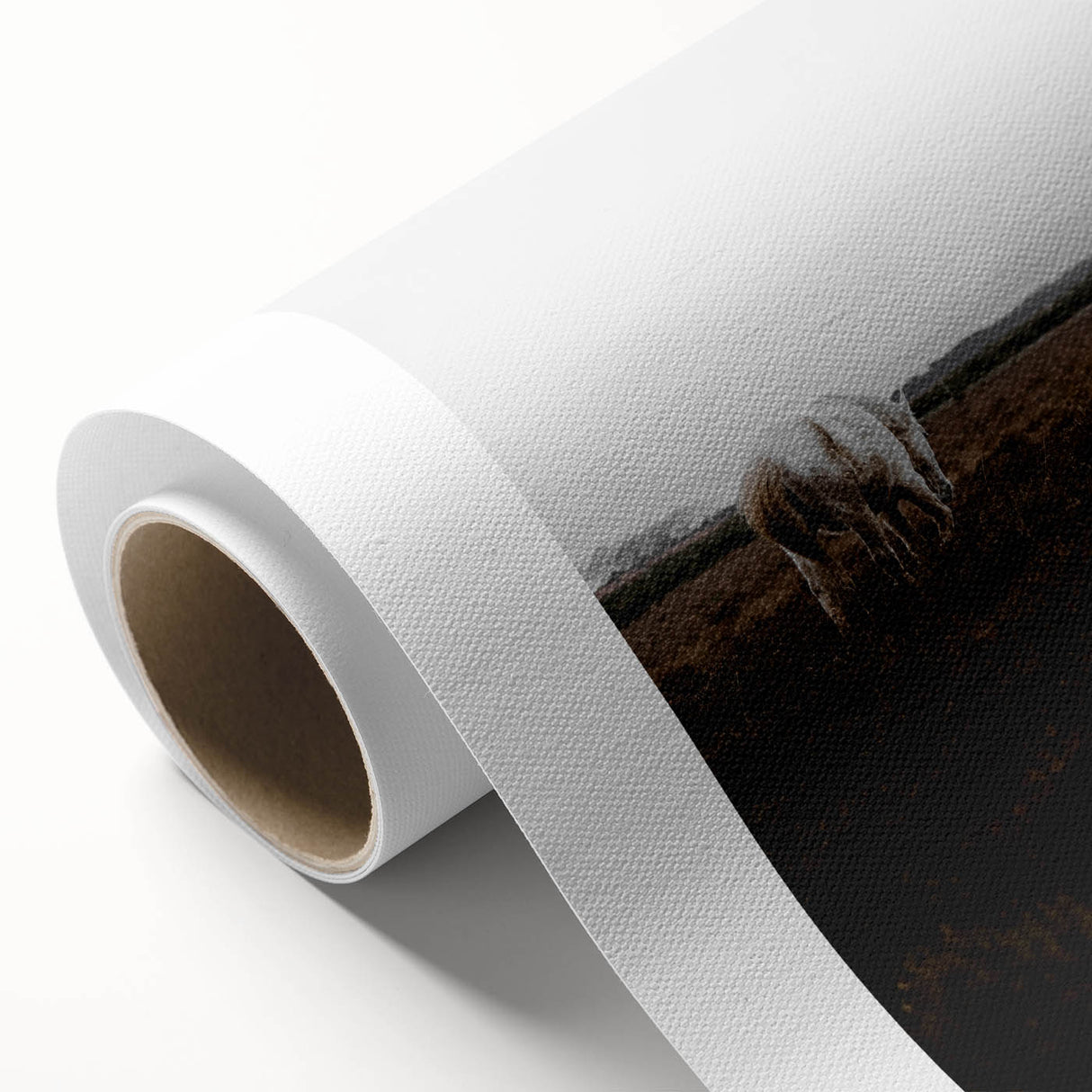 Serene White Horse - Rustic Landscape Wall Art