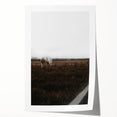Serene White Horse - Rustic Landscape Wall Art