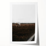 Serene White Horse - Rustic Landscape Wall Art