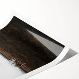 Serene White Horse - Rustic Landscape Wall Art