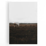 Serene White Horse - Rustic Landscape Wall Art