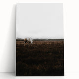 Serene White Horse - Rustic Landscape Wall Art