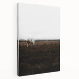 Serene White Horse - Rustic Landscape Wall Art