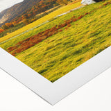 Rustic Farmhouse Barn in Autumn - Vintage Wall Art - Rural Landscape Print