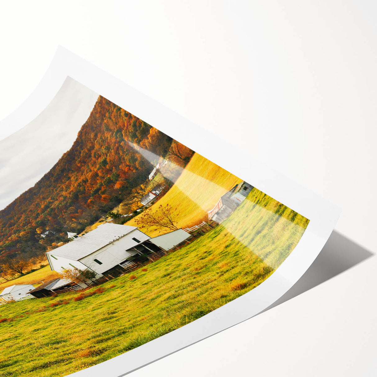 Rustic Farmhouse Barn in Autumn - Vintage Wall Art - Rural Landscape Print