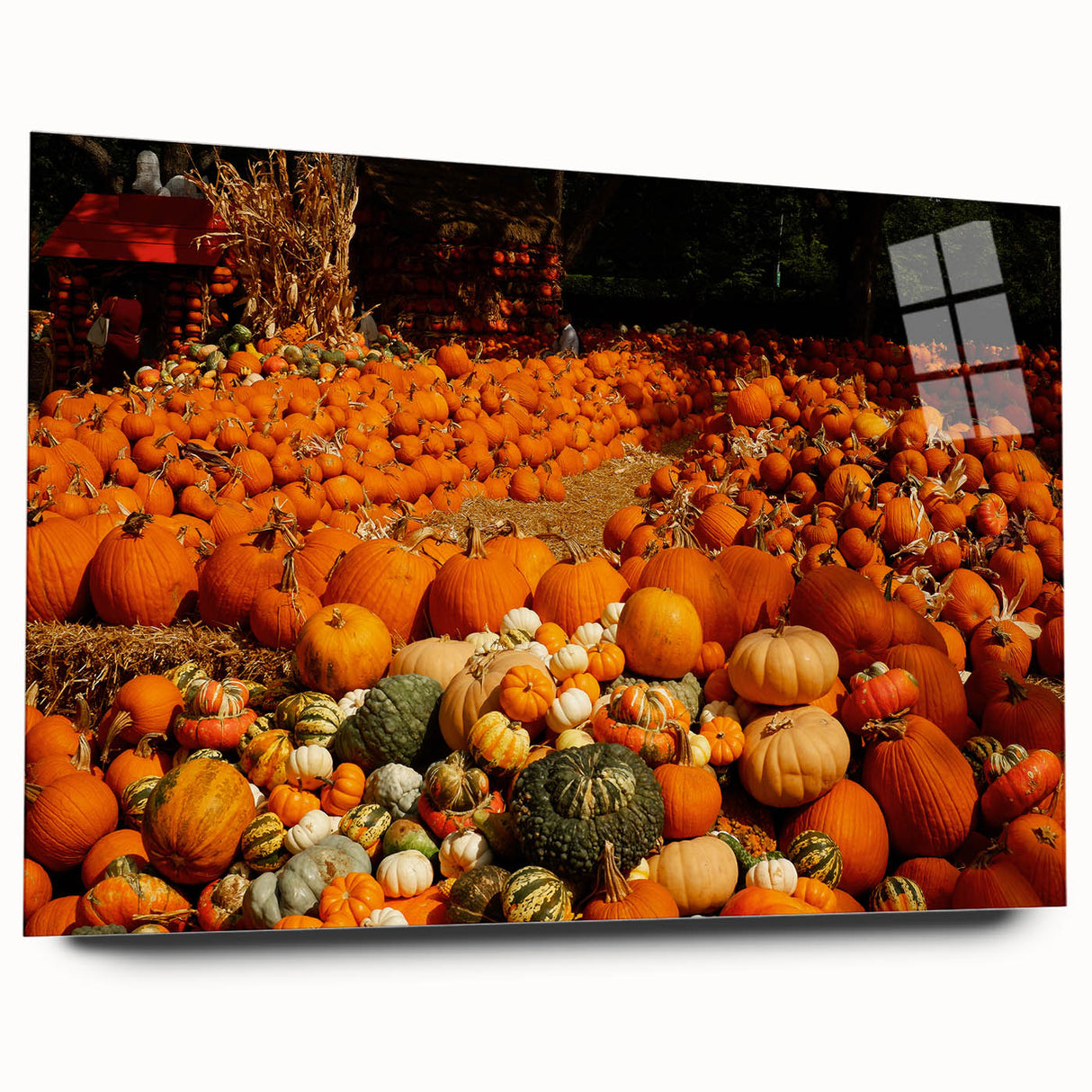Rustic Pumpkin Patch Wall Art - Farmhouse Fall Decor for Cozy Homes