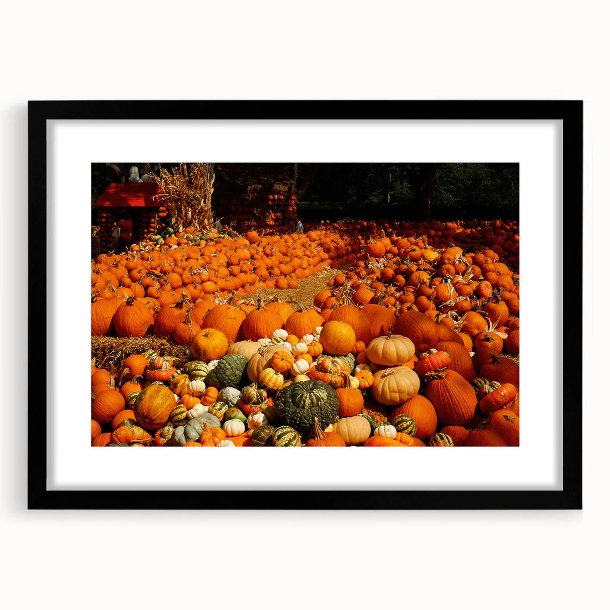 Rustic Pumpkin Patch Wall Art - Farmhouse Fall Decor for Cozy Homes