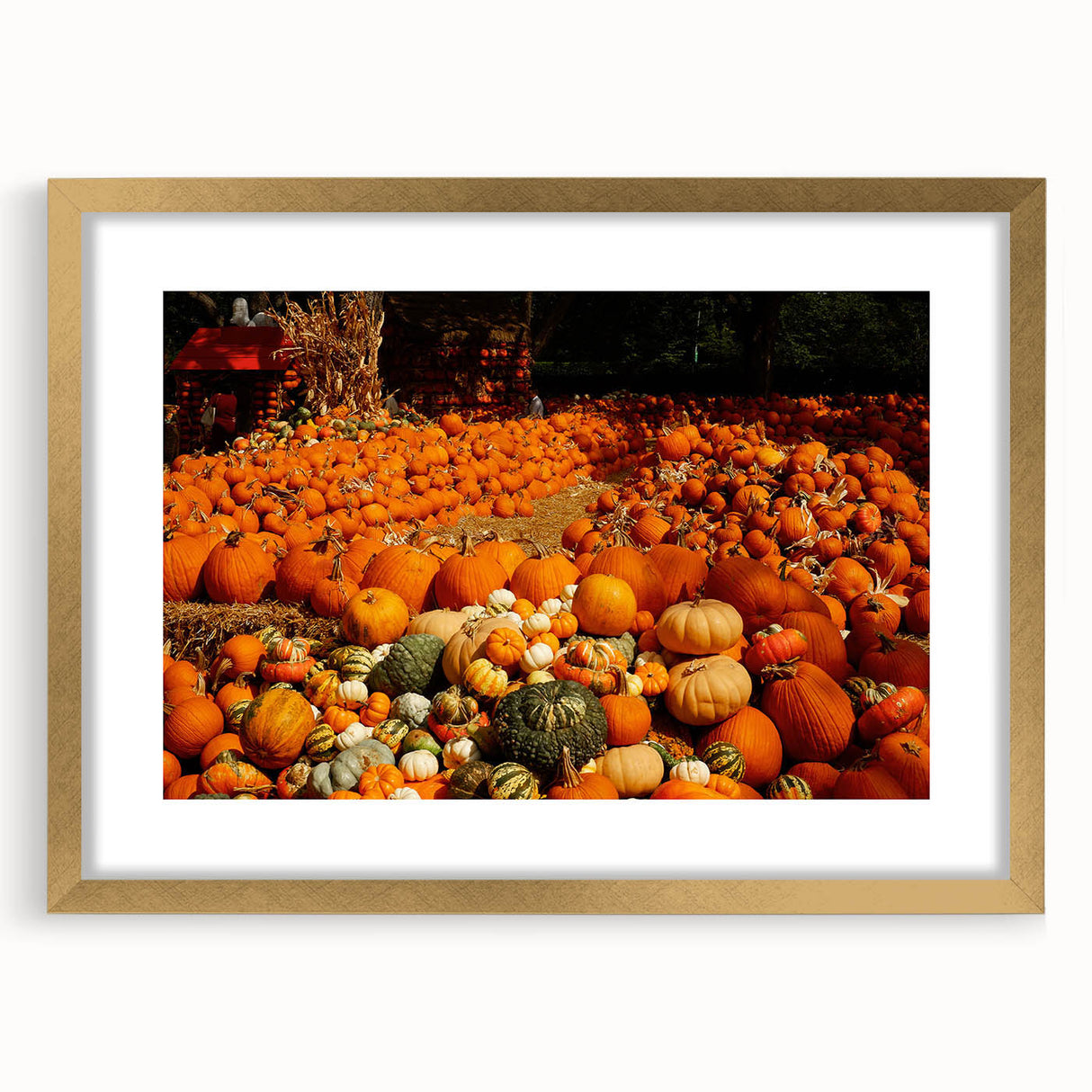 Rustic Pumpkin Patch Wall Art - Farmhouse Fall Decor for Cozy Homes