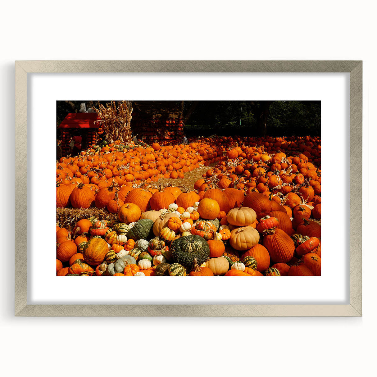 Rustic Pumpkin Patch Wall Art - Farmhouse Fall Decor for Cozy Homes
