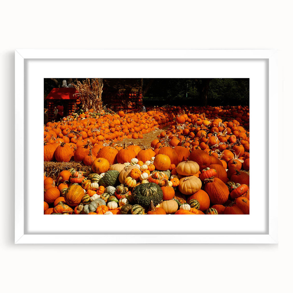 Rustic Pumpkin Patch Wall Art - Farmhouse Fall Decor for Cozy Homes