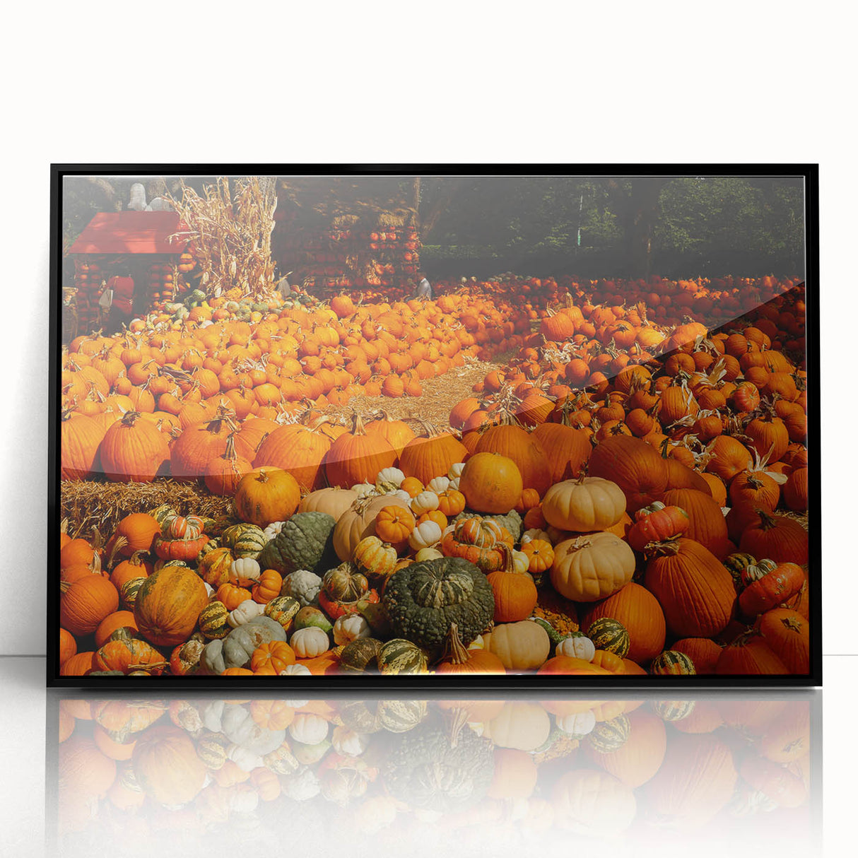 Rustic Pumpkin Patch Wall Art - Farmhouse Fall Decor for Cozy Homes