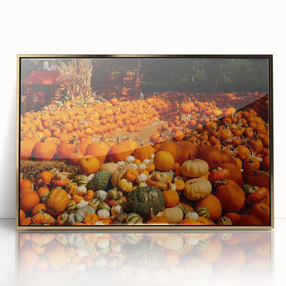 Rustic Pumpkin Patch Wall Art - Farmhouse Fall Decor for Cozy Homes