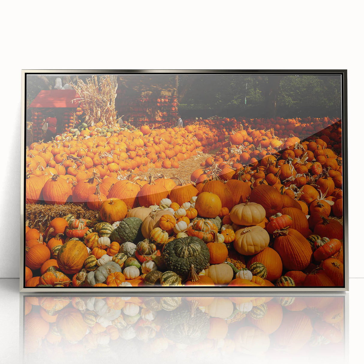 Rustic Pumpkin Patch Wall Art - Farmhouse Fall Decor for Cozy Homes
