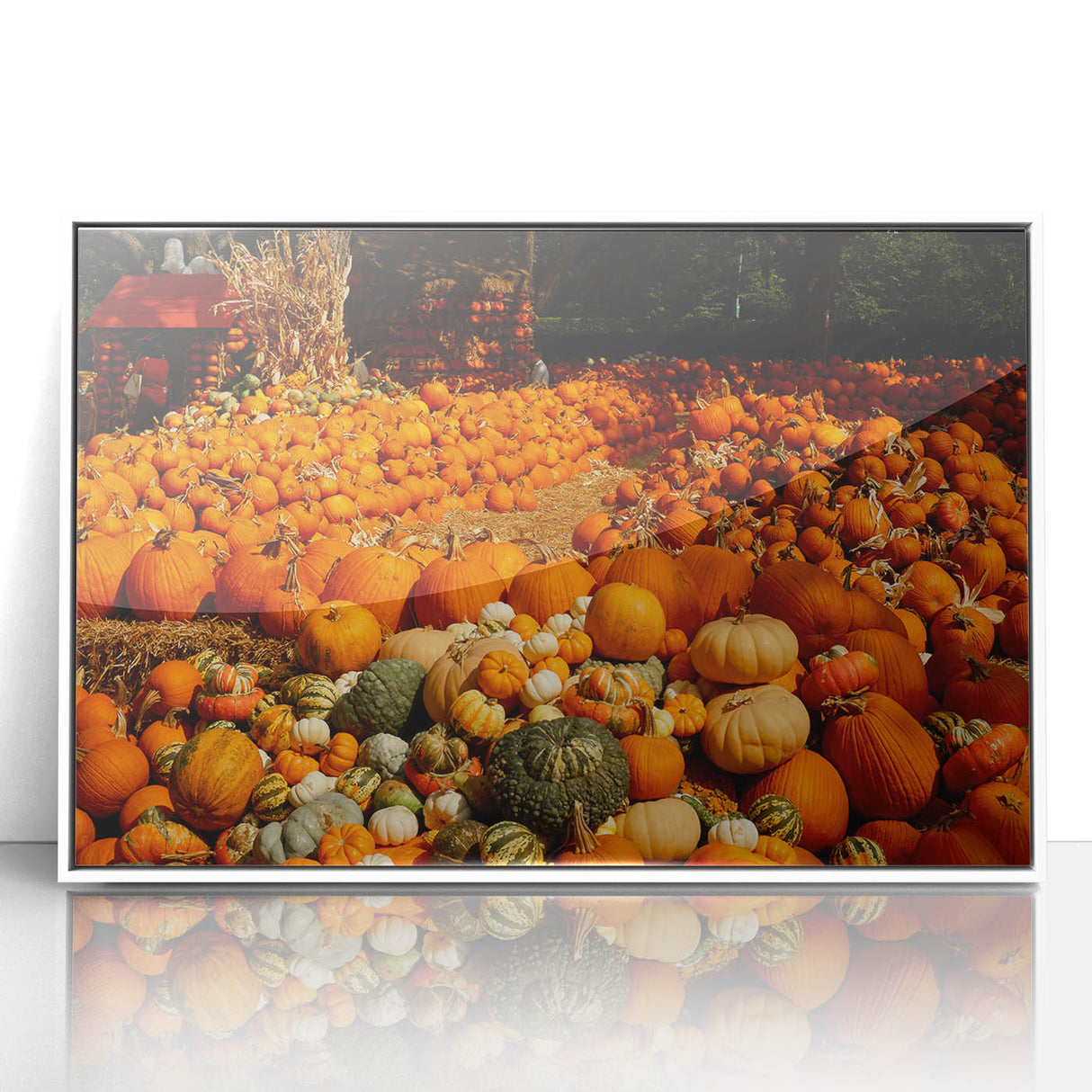 Rustic Pumpkin Patch Wall Art - Farmhouse Fall Decor for Cozy Homes