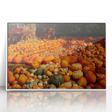 Rustic Pumpkin Patch Wall Art - Farmhouse Fall Decor for Cozy Homes
