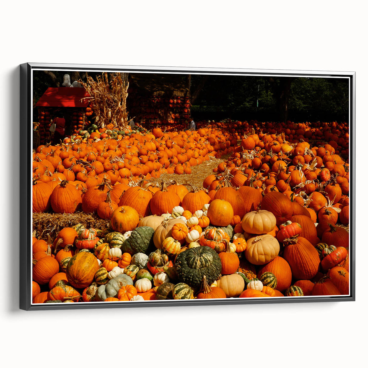 Rustic Pumpkin Patch Wall Art - Farmhouse Fall Decor for Cozy Homes