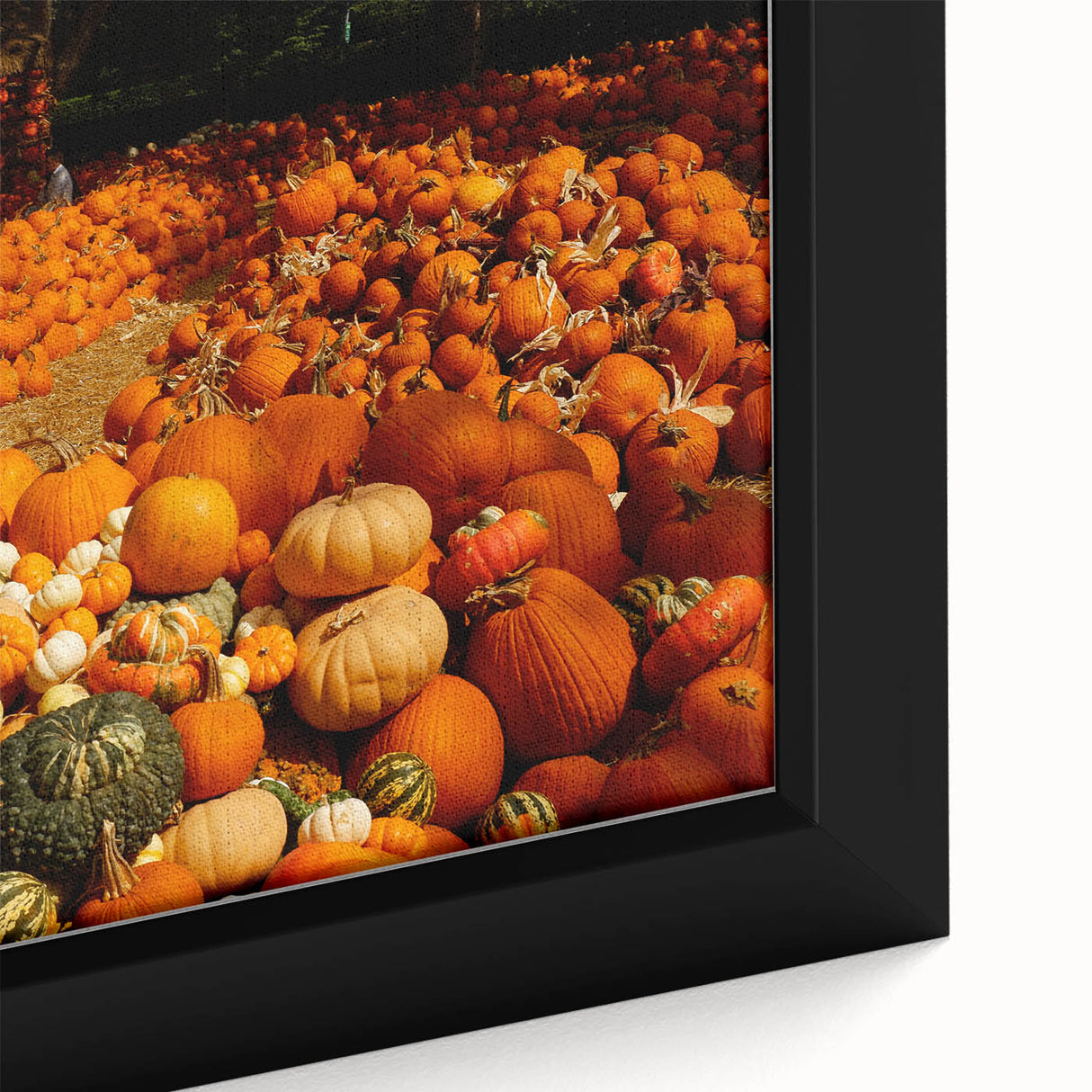 Rustic Pumpkin Patch Wall Art - Farmhouse Fall Decor for Cozy Homes