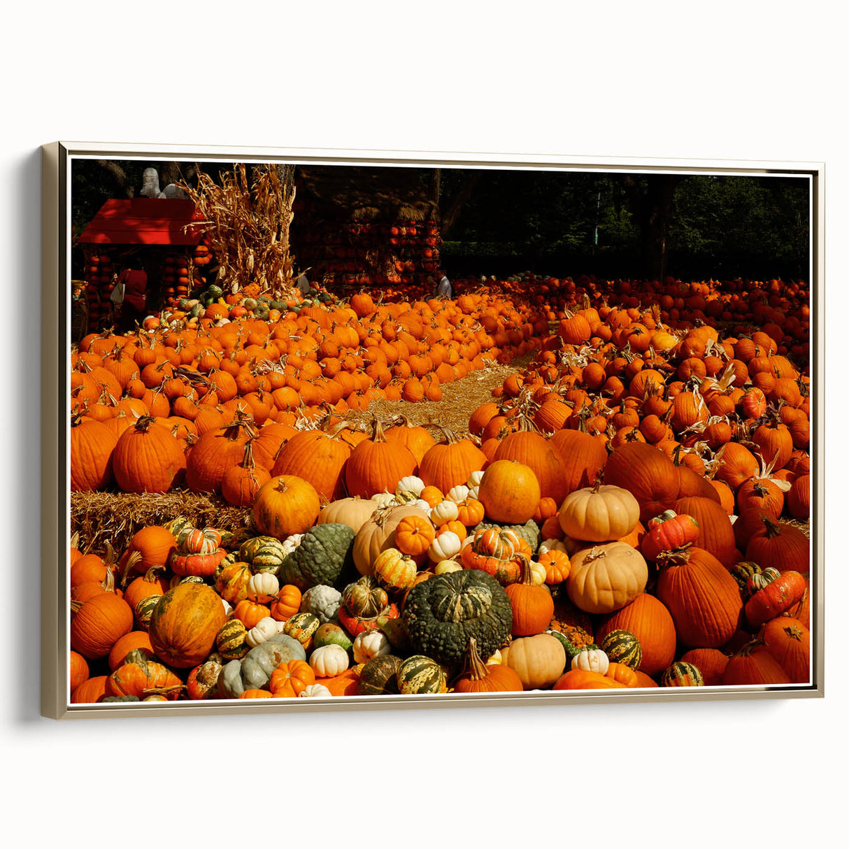 Rustic Pumpkin Patch Wall Art - Farmhouse Fall Decor for Cozy Homes