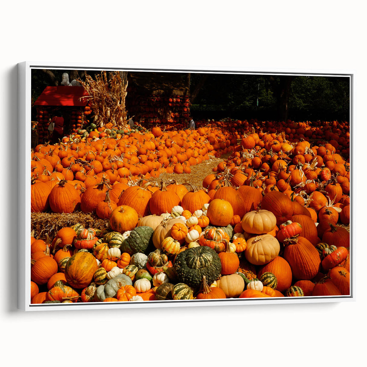 Rustic Pumpkin Patch Wall Art - Farmhouse Fall Decor for Cozy Homes