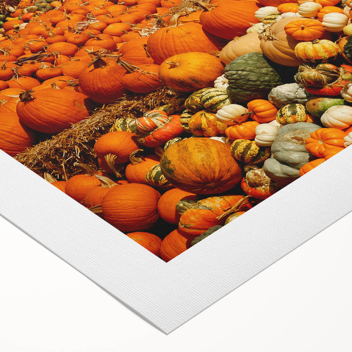 Rustic Pumpkin Patch Wall Art - Farmhouse Fall Decor for Cozy Homes