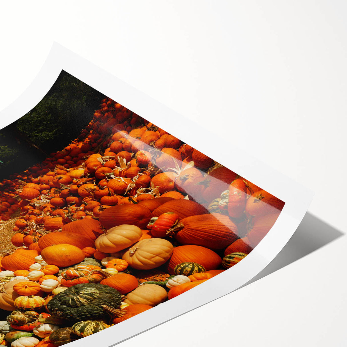 Rustic Pumpkin Patch Wall Art - Farmhouse Fall Decor for Cozy Homes