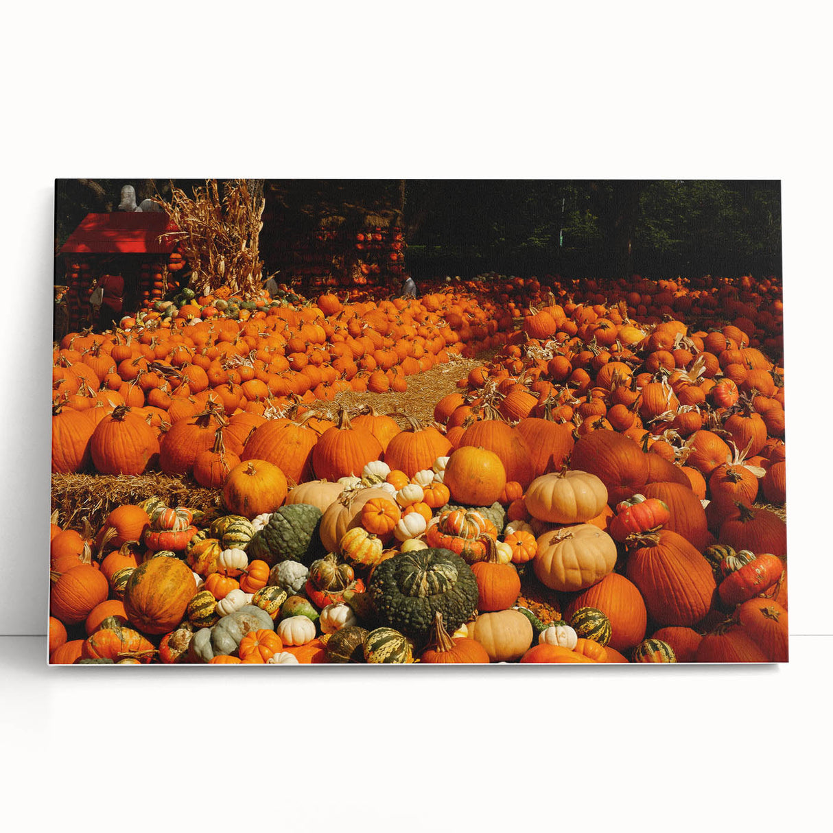 Rustic Pumpkin Patch Wall Art - Farmhouse Fall Decor for Cozy Homes