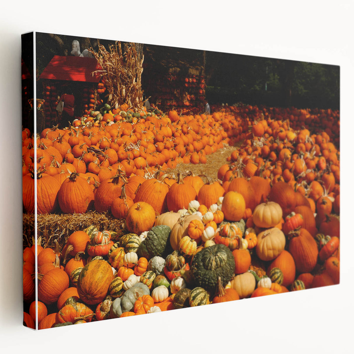 Rustic Pumpkin Patch Wall Art - Farmhouse Fall Decor for Cozy Homes