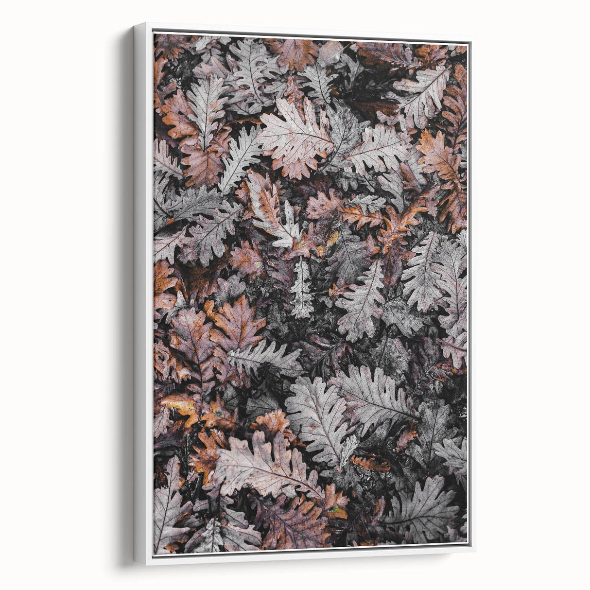 Rustic Wall Art - Autumn Leaves in Earthy Tones for Farmhouse Decor