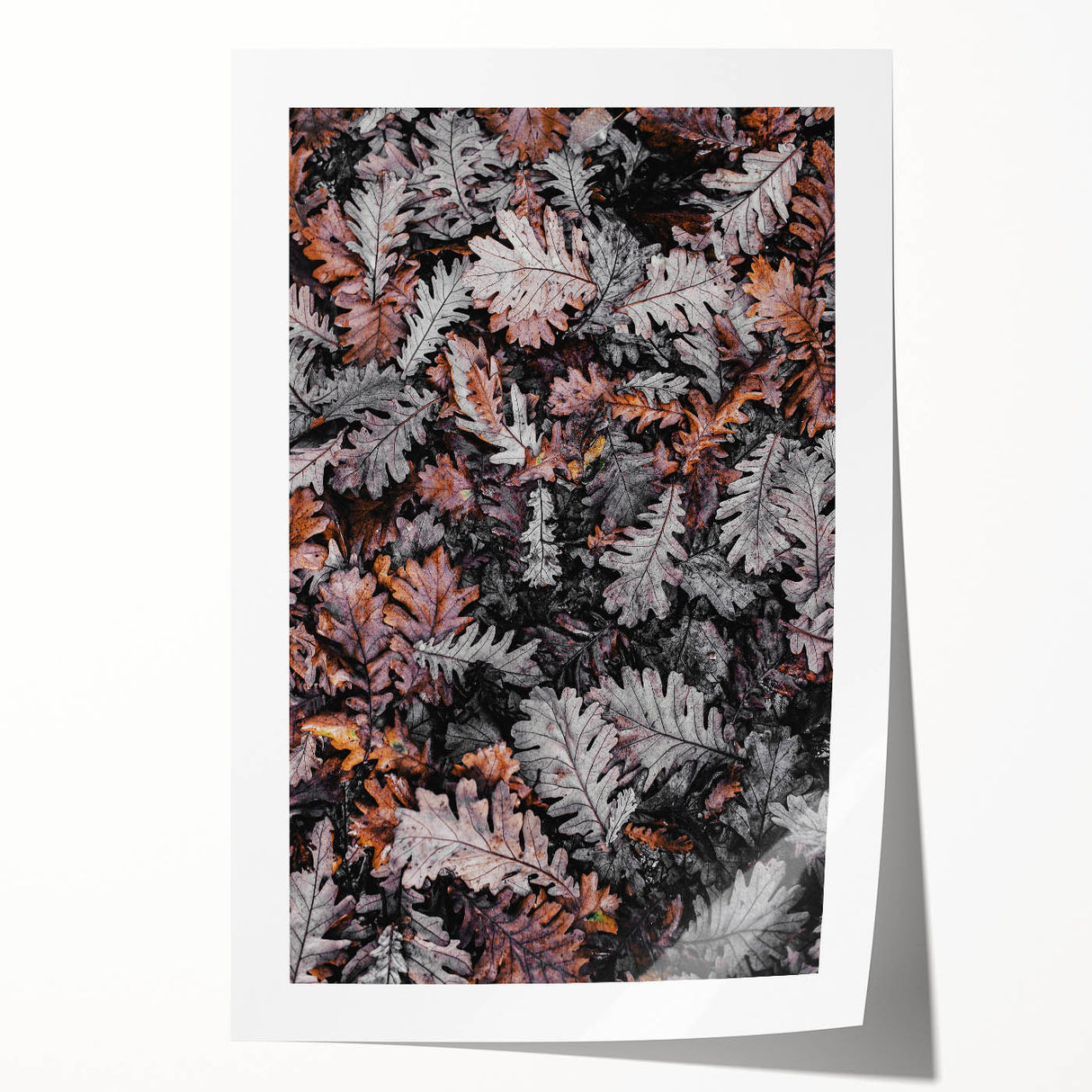 Rustic Wall Art - Autumn Leaves in Earthy Tones for Farmhouse Decor