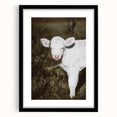 Rustic Wall Art - White Calf in Nature for Farmhouse and Country Decor