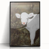 Rustic Wall Art - White Calf in Nature for Farmhouse and Country Decor