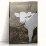 Rustic Wall Art - White Calf in Nature for Farmhouse and Country Decor