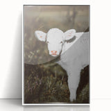 Rustic Wall Art - White Calf in Nature for Farmhouse and Country Decor