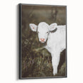 Rustic Wall Art - White Calf in Nature for Farmhouse and Country Decor