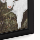 Rustic Wall Art - White Calf in Nature for Farmhouse and Country Decor