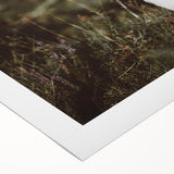 Rustic Wall Art - White Calf in Nature for Farmhouse and Country Decor